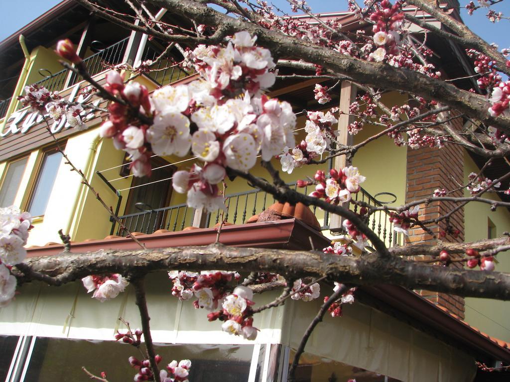 Hotel Kybele Gocek 3*